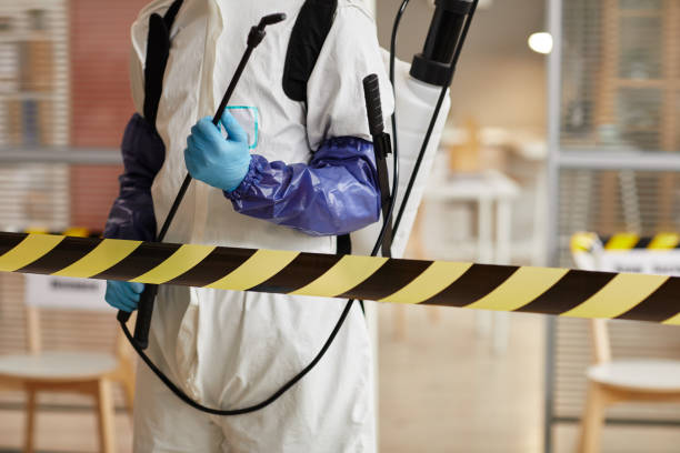 Professional Odor Removal technician working in Collins, WI